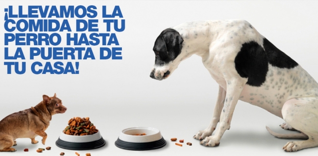 Alimento para Perros en Monterrey